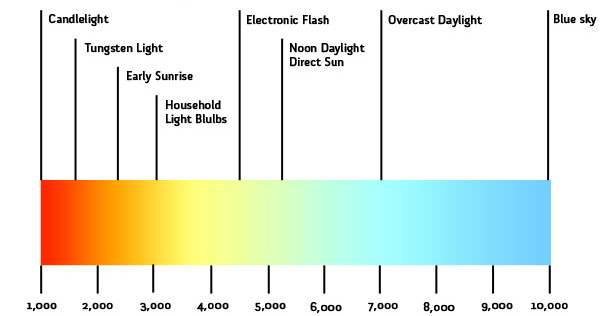 Lighting Color Temperature - Warm & Cool Lights